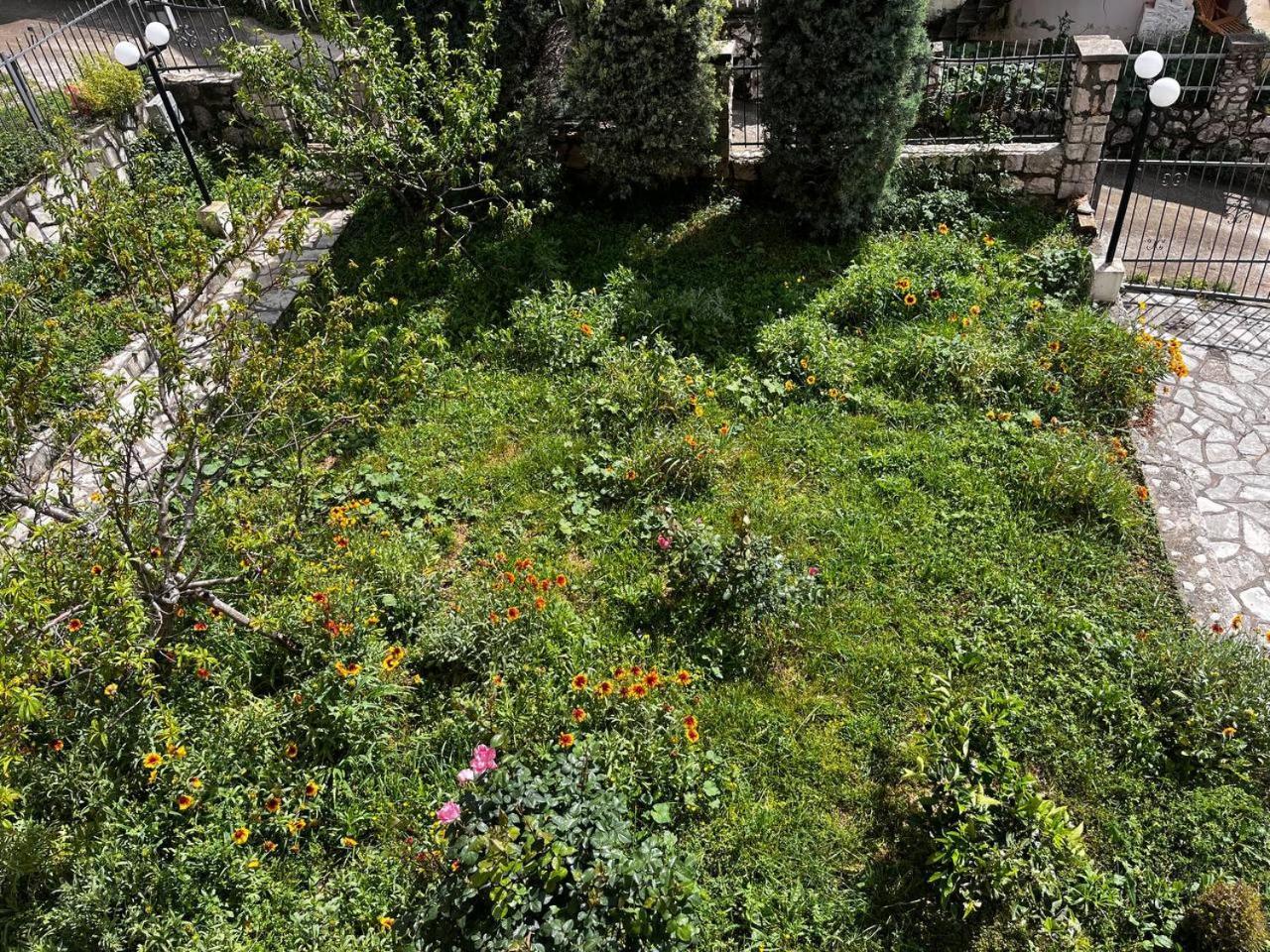 Apartments In Villa Viktoria Sutomore Extérieur photo